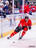 Paneuropa Kings - Akademici Plzeň Paneuropa Kings - Akademici Plzeň