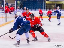 Paneuropa Kings - Akademici Plzeň Paneuropa Kings - Akademici Plzeň