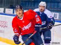 Paneuropa Kings - Akademici Plzeň Paneuropa Kings - Akademici Plzeň