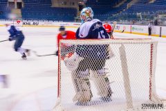 Paneuropa Kings - Akademici Plzeň Paneuropa Kings - Akademici Plzeň