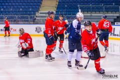 Paneuropa Kings - Akademici Plzeň Paneuropa Kings - Akademici Plzeň