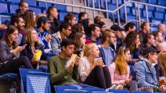 Paneuropa Kings - Akademici Plzeň Paneuropa Kings - Akademici Plzeň