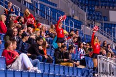 Paneuropa Kings - Akademici Plzeň Paneuropa Kings - Akademici Plzeň