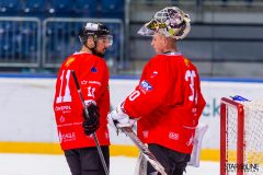 Paneuropa Kings - Akademici Plzeň Paneuropa Kings - Akademici Plzeň