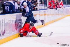 Paneuropa Kings - Akademici Plzeň Paneuropa Kings - Akademici Plzeň
