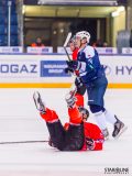 Paneuropa Kings - Akademici Plzeň Paneuropa Kings - Akademici Plzeň