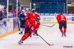Paneuropa Kings - Akademici Plzeň Paneuropa Kings - Akademici Plzeň
