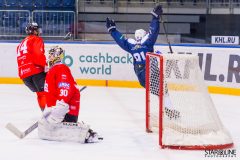Paneuropa Kings - Akademici Plzeň Paneuropa Kings - Akademici Plzeň