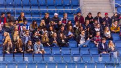Paneuropa Kings - Akademici Plzeň Paneuropa Kings - Akademici Plzeň