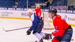 Paneuropa Kings - Akademici Plzeň Paneuropa Kings - Akademici Plzeň