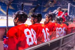 Paneuropa Kings - Akademici Plzeň Paneuropa Kings - Akademici Plzeň