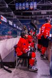 Paneuropa Kings - Akademici Plzeň Paneuropa Kings - Akademici Plzeň