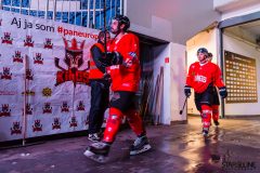 Paneuropa Kings - Cavaliers Brno Paneuropa Kings - Cavaliers Brno