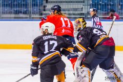Paneuropa Kings - Cavaliers Brno Paneuropa Kings - Cavaliers Brno