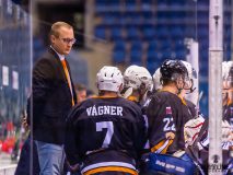 Paneuropa Kings - Cavaliers Brno Paneuropa Kings - Cavaliers Brno