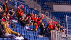 Paneuropa Kings - Cavaliers Brno Paneuropa Kings - Cavaliers Brno