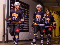 Paneuropa Kings - Cavaliers Brno Paneuropa Kings - Cavaliers Brno