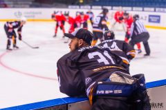 Paneuropa Kings - Cavaliers Brno Paneuropa Kings - Cavaliers Brno