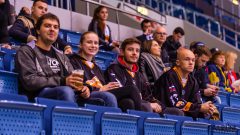 Paneuropa Kings - Cavaliers Brno Paneuropa Kings - Cavaliers Brno