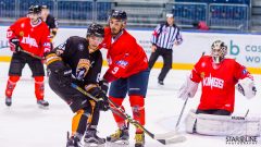 Paneuropa Kings - Cavaliers Brno Paneuropa Kings - Cavaliers Brno