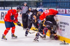 Paneuropa Kings - Cavaliers Brno Paneuropa Kings - Cavaliers Brno