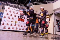Paneuropa Kings - Cavaliers Brno Paneuropa Kings - Cavaliers Brno