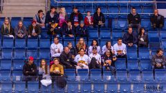 Paneuropa Kings - Cavaliers Brno Paneuropa Kings - Cavaliers Brno