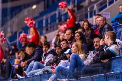 Paneuropa Kings - Cavaliers Brno Paneuropa Kings - Cavaliers Brno