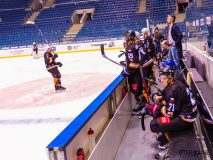 Paneuropa Kings - Cavaliers Brno Paneuropa Kings - Cavaliers Brno