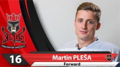 16-Plesa 16-Plesa