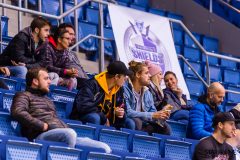 Paneuropa Kings - University Shields Paneuropa Kings - University Shields