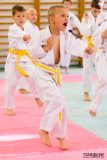 Športová škola karate Bratislava Športová škola karate Bratislava