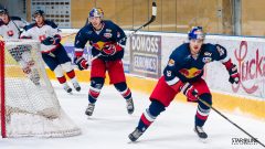 Slovensko-EC-Red-Bull-Salzburg_ACT7768 Slovensko-EC-Red-Bull-Salzburg_ACT7768