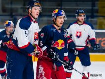 Slovensko-EC-Red-Bull-Salzburg_ACT7862 Slovensko-EC-Red-Bull-Salzburg_ACT7862