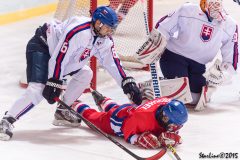 Reprezentacia_ACT0890 Reprezentacia_ACT0890