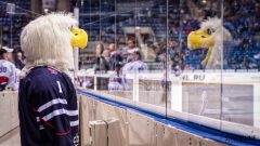 HC Slovan Bratislava - HC Torpedo Nizhny Novgorod HC Slovan Bratislava - HC Torpedo Nizhny Novgorod