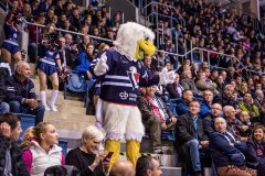HC Slovan Bratislava - HC Dynamo Moscow HC Slovan Bratislava - HC Dynamo Moscow