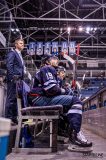 HC Slovan Bratislava - HC Lada Togliatti HC Slovan Bratislava - HC Lada Togliatti