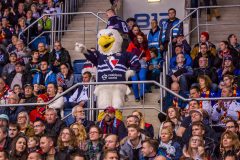 HC Slovan Bratislava - Jokerit Helsinki HC Slovan Bratislava - Jokerit Helsinki