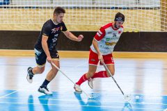 FBC White Eagles Bratislava - Falcons Stará Ľubovňa FBC White Eagles Bratislava - Falcons Stará Ľubovňa