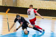 FBC White Eagles Bratislava - Falcons Stará Ľubovňa FBC White Eagles Bratislava - Falcons Stará Ľubovňa