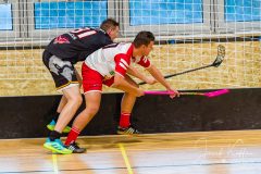 FBC White Eagles Bratislava - Falcons Stará Ľubovňa FBC White Eagles Bratislava - Falcons Stará Ľubovňa