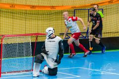 FBC White Eagles Bratislava - Falcons Stará Ľubovňa FBC White Eagles Bratislava - Falcons Stará Ľubovňa
