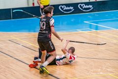 FBC White Eagles Bratislava - Žatva 90 Dolný Kubín FBC White Eagles Bratislava - Žatva 90 Dolný Kubín