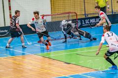 FBC White Eagles Bratislava - Žatva 90 Dolný Kubín FBC White Eagles Bratislava - Žatva 90 Dolný Kubín